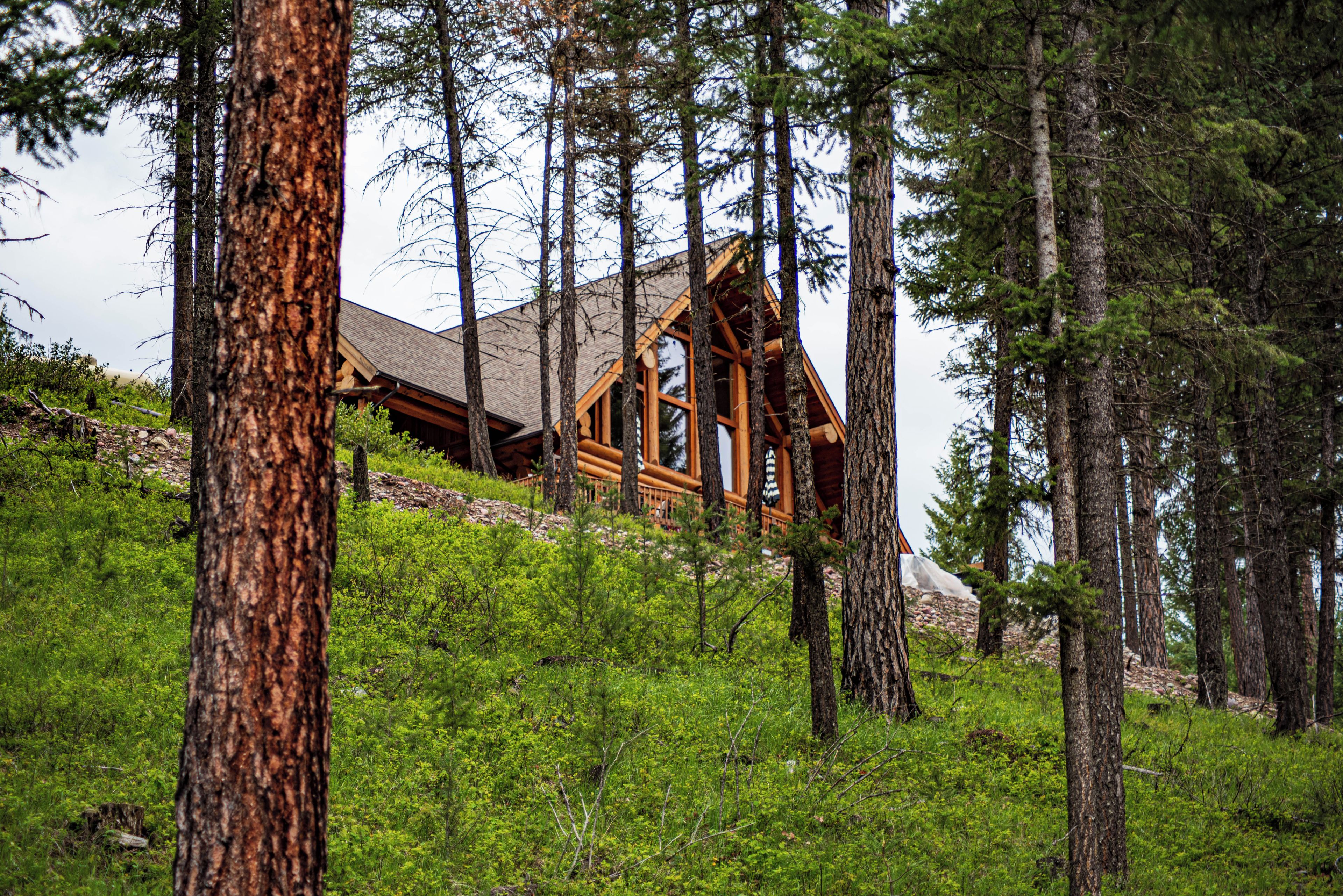 Une cabane entourée de grands arbres, située dans une zone boisée.