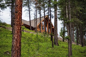 A cabin surrounded by tall trees in a forested area.