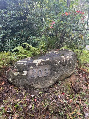 A large rock with the number 203 engraved on it, surrounded by dense greenery and ferns.