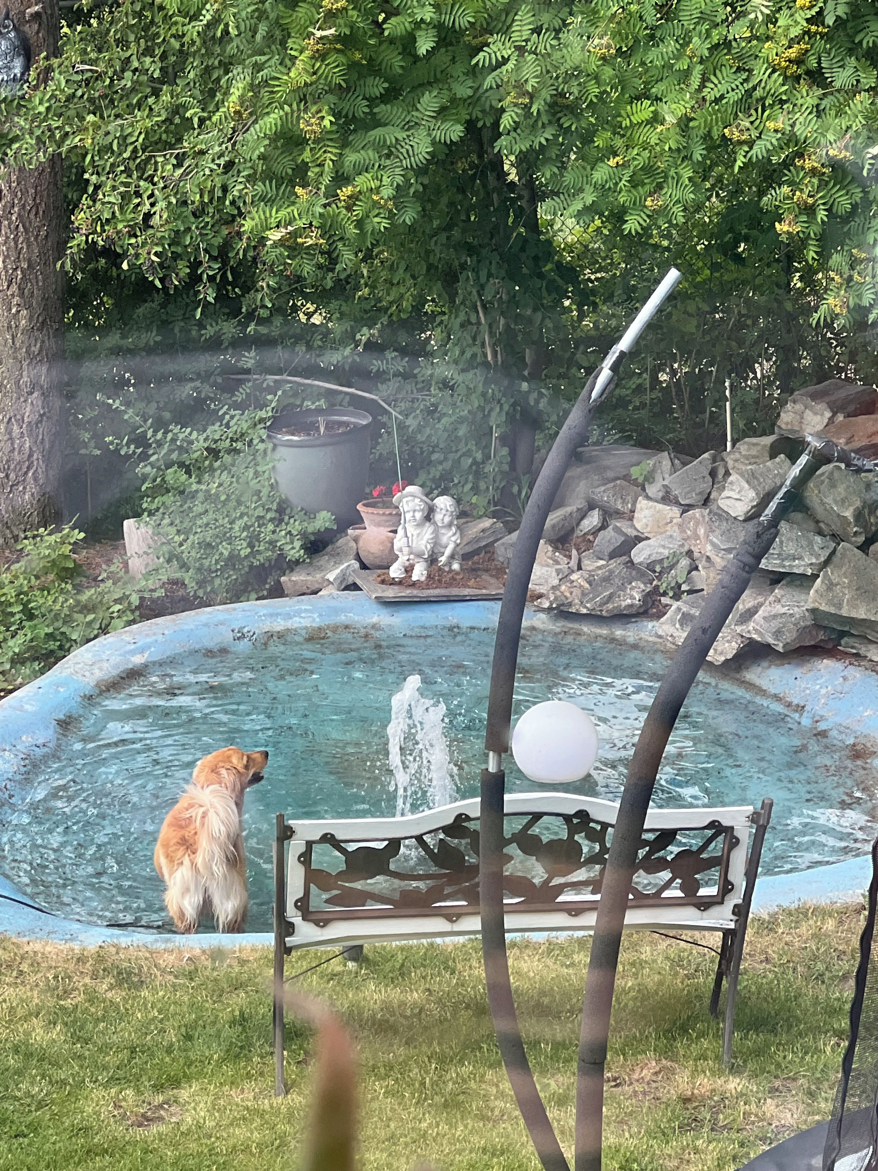 A dog sitting by a small pond with a statue and a bench.