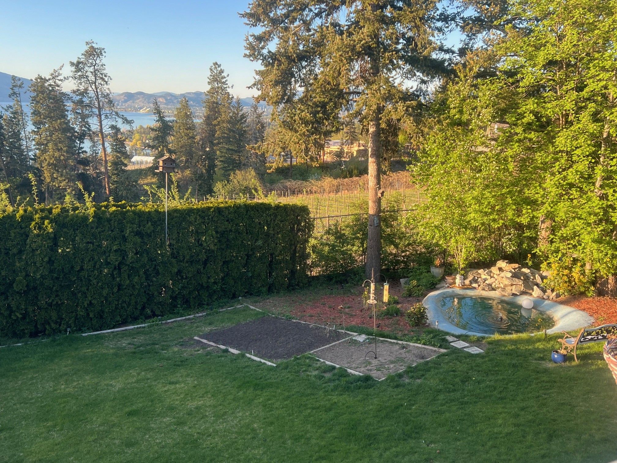 Un giardino sul retro con un’area verdeggiante, un piccolo stagno e una casetta per uccelli in legno.