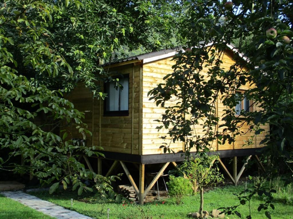 Une cabane en bois, construite sur une fondation surélevée, et entourée de verdure.