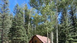 A log cabin with a red roof surrounded by dense forest. - Charming cabin in the woods, 1/2 mile to the highway including modern amenities (Durango)