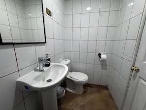 A small bathroom with a sink, toilet, and a mirror.
