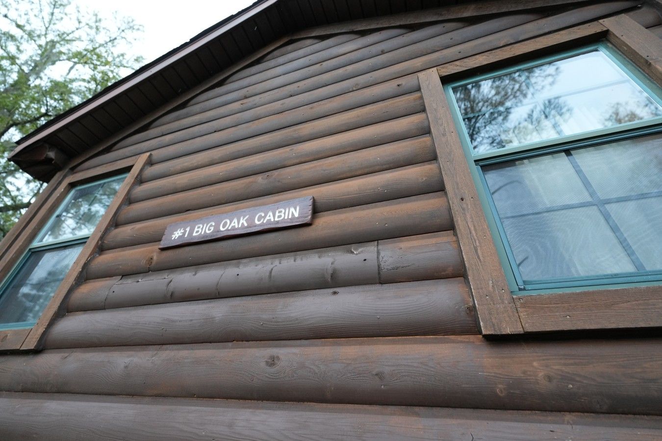 Une cabane en bois avec une pancarte indiquant « 1 Big Oak Cabin » et deux fenêtres aux cadres bleus.