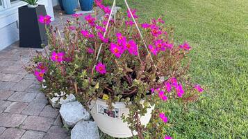 Una maceta colgante con flores rosadas frente a una casa.