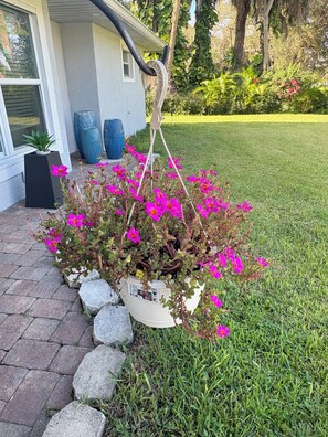 A hanging planter with pink flowers in front of a house.