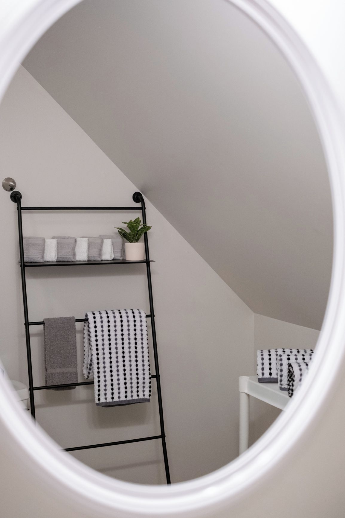 Une salle de bain avec un porte-serviettes, une plante en pot et des toilettes blanches.