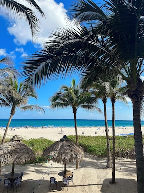 Una spiaggia con palme, ombrelloni di paglia e una zona sabbiosa con sedie.