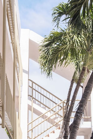 A modern building with a white facade, a staircase, and a palm tree.