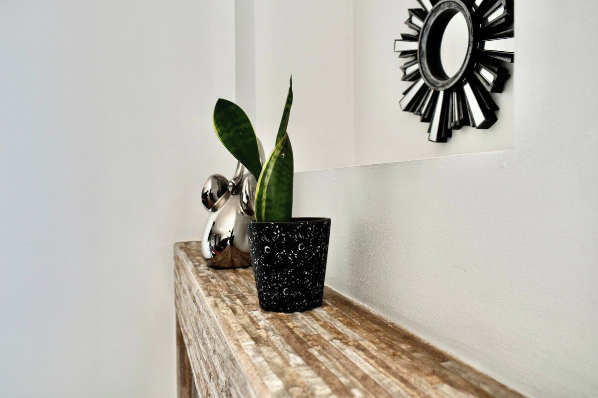 Une plante en pot est posée sur une étagère en bois, et un miroir décoratif est accroché au mur.