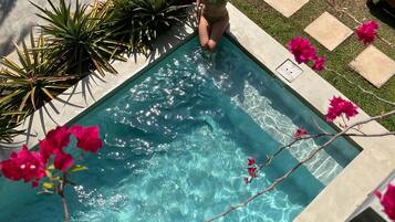 Una piscina con una persona in piedi sul bordo, circondata da piante e un pontile di legno con sdraio.