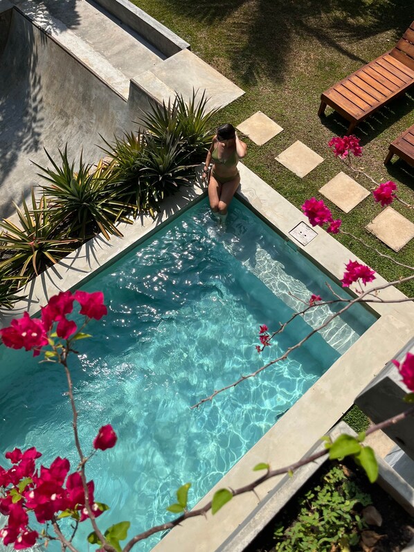A swimming pool with a person standing at the edge, surrounded by plants and a wooden deck with lounge chairs.