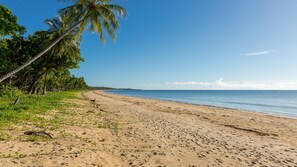 Ein Strand mit blauem Himmel, Palmen und ruhiger See.
