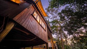 A wooden building with a balcony, surrounded by trees. - The Rainforest Nook Cairns (Kamerunga)
