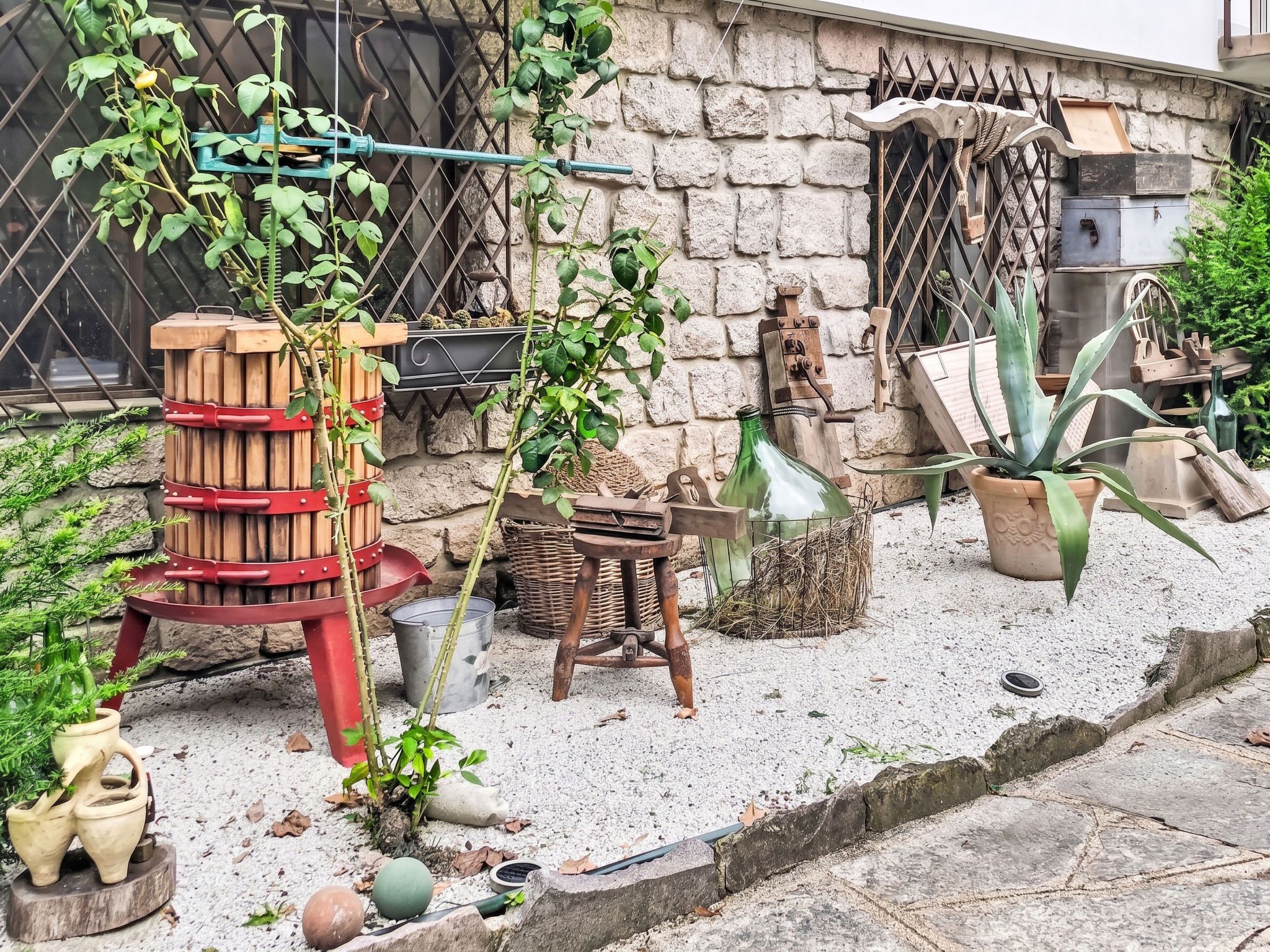 A rustic outdoor setting with a stone wall, various plants, and gardening tools.