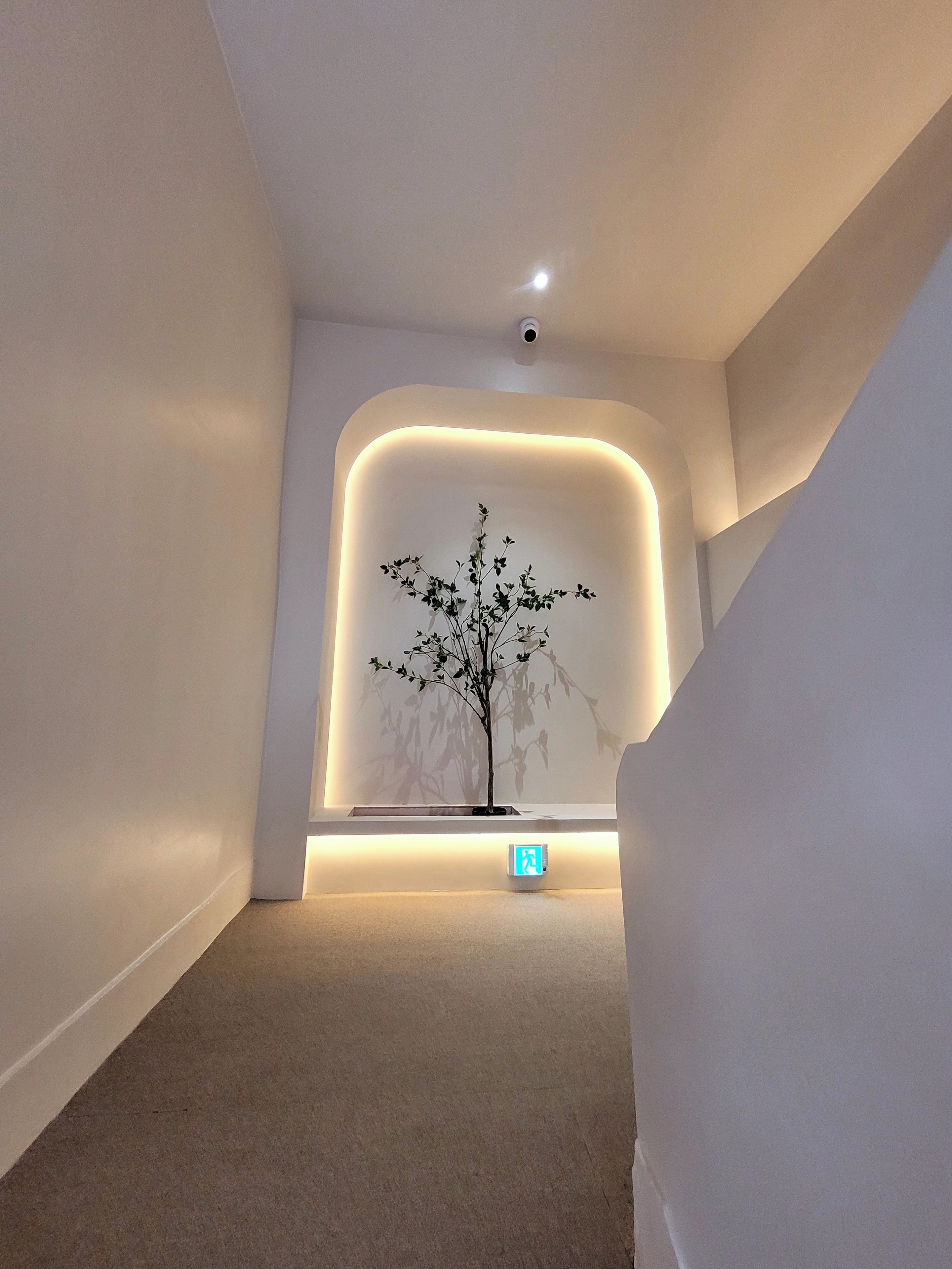 A modern interior with a minimalist design, featuring a recessed wall with a tree sculpture and a lit exit sign.