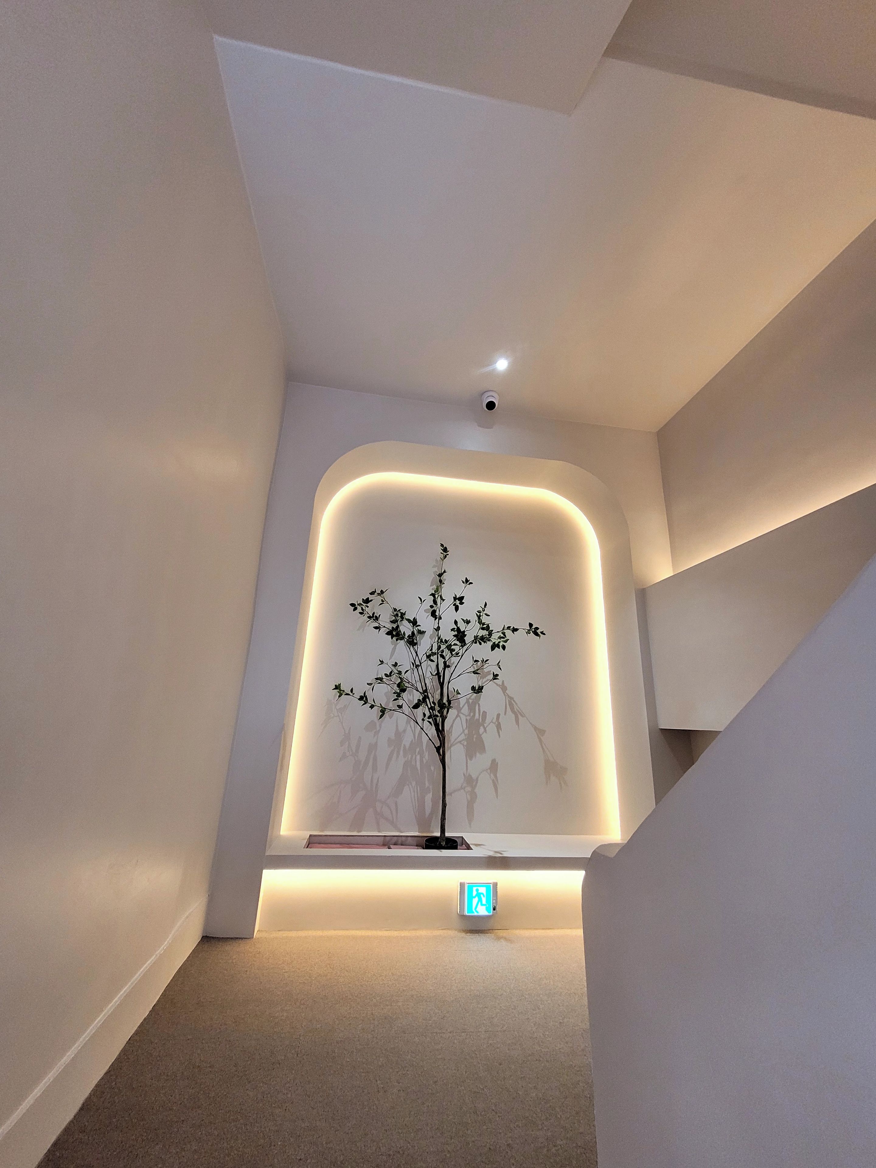 A modern interior with a minimalist design, featuring a recessed wall with a tree sculpture and a visible exit sign.