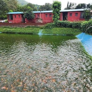 Un río con superficie de piedra, rodeado de vegetación y un edificio rojo con techo azul.