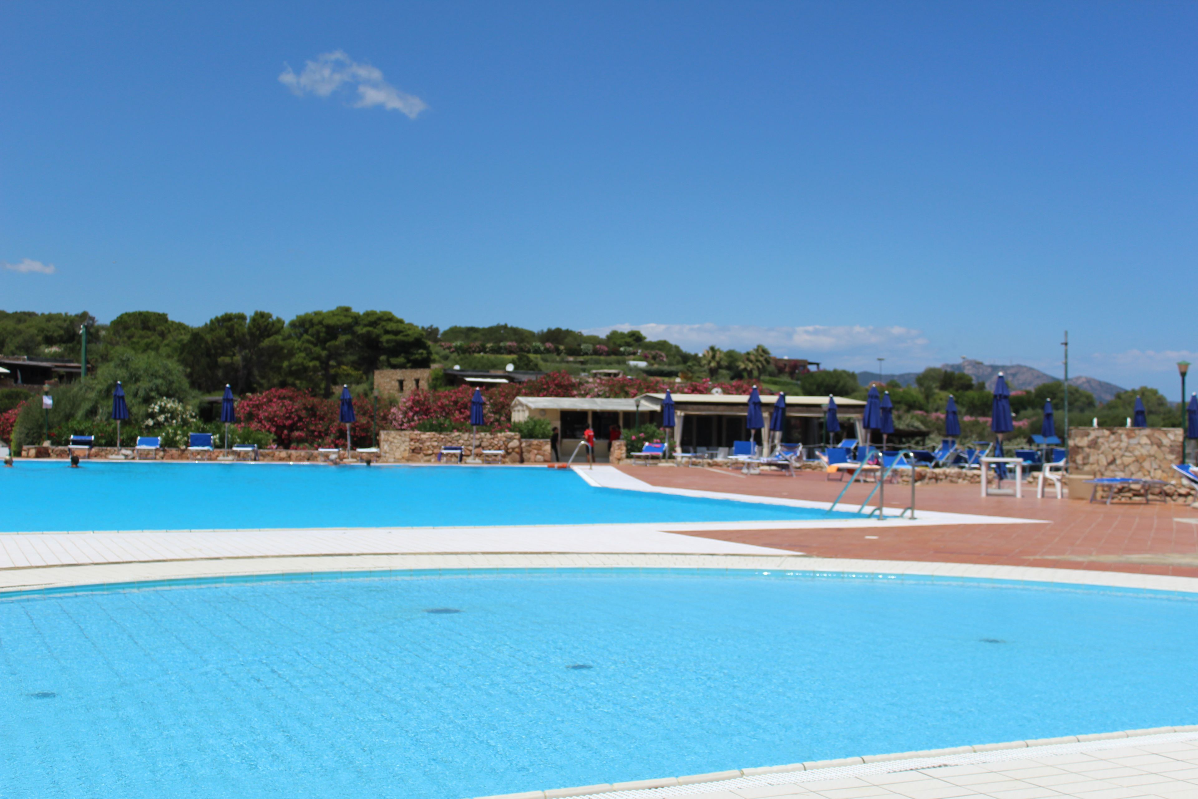 Una piscina con lettini e ombrelloni, immersa nel verde e circondata da edifici.