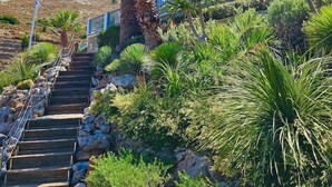 A pink building with a balcony, surrounded by palm trees and a staircase leading up to it. - Niriides Apartaments (Symi)