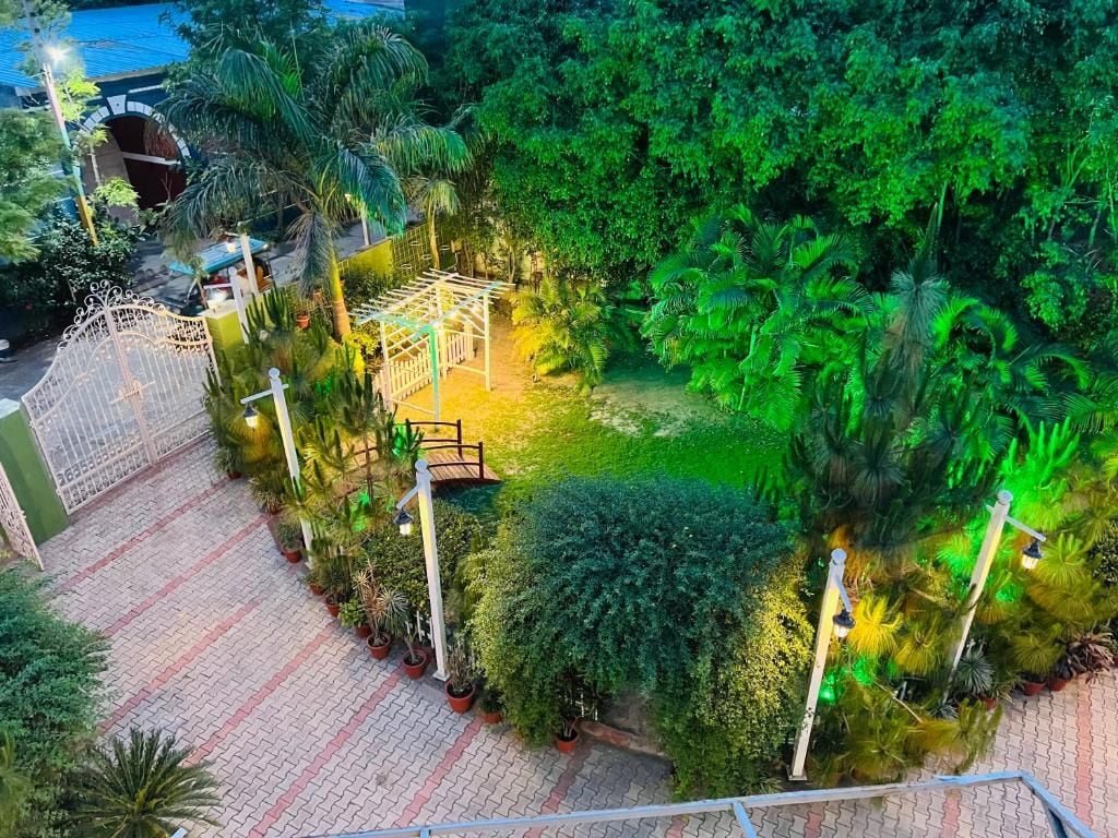 Un jardín en la azotea con una pérgola de madera, plantas en macetas y un camino pavimentado.