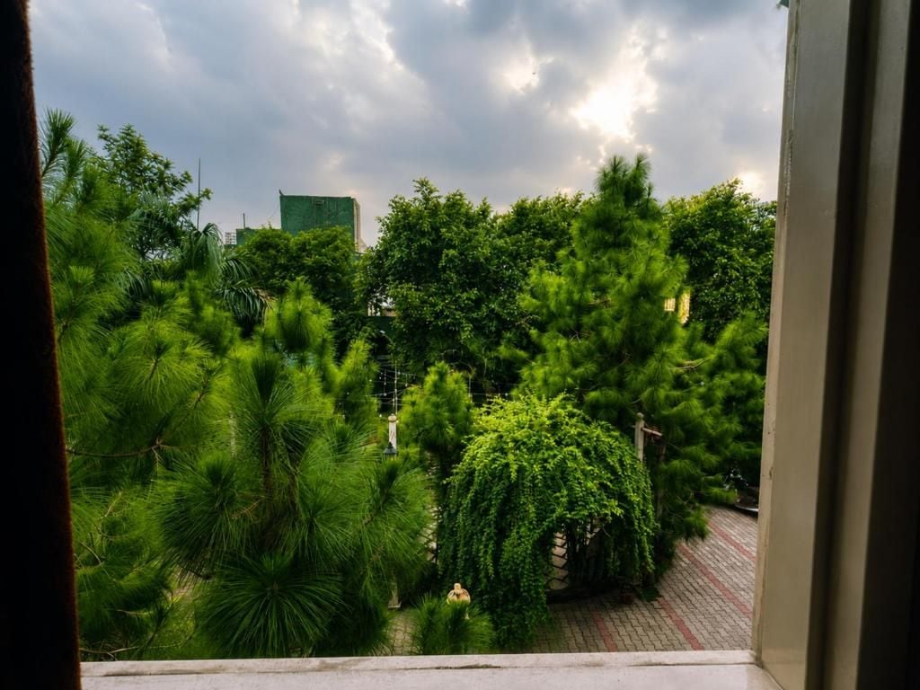 Une vue d’un jardin luxuriant, avec différents arbres et arbustes, un chemin pavé de briques et un bâtiment en arrière-plan.