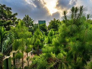 Un exuberante jardín con follaje denso y un edificio al fondo.