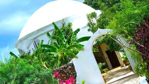Um edifício branco em forma de cúpula com entrada coberta, rodeado por vegetação exuberante e plantas tropicais.
