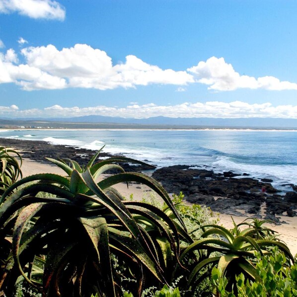 A coastal landscape with a rocky beach, ocean waves, and distant mountains under a clear sky. - Jikeleza Lodge Backpackers (Gqeberha)