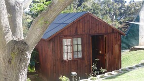 Une cabane en bois avec un toit à deux versants, une porte visible et une fenêtre avec des rideaux.