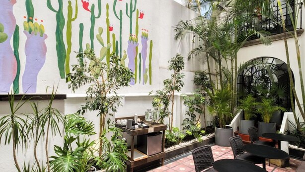 En gårdhave med udendørs siddepladser, krukker med planter og et muralmaleri med kaktusser.