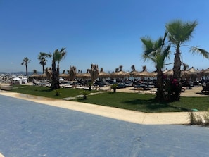 A beachside resort with thatched umbrellas, palm trees, and sun loungers.