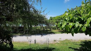 A garden with trees and a gravel path. - Nefeli Wind Club (Lefkada)