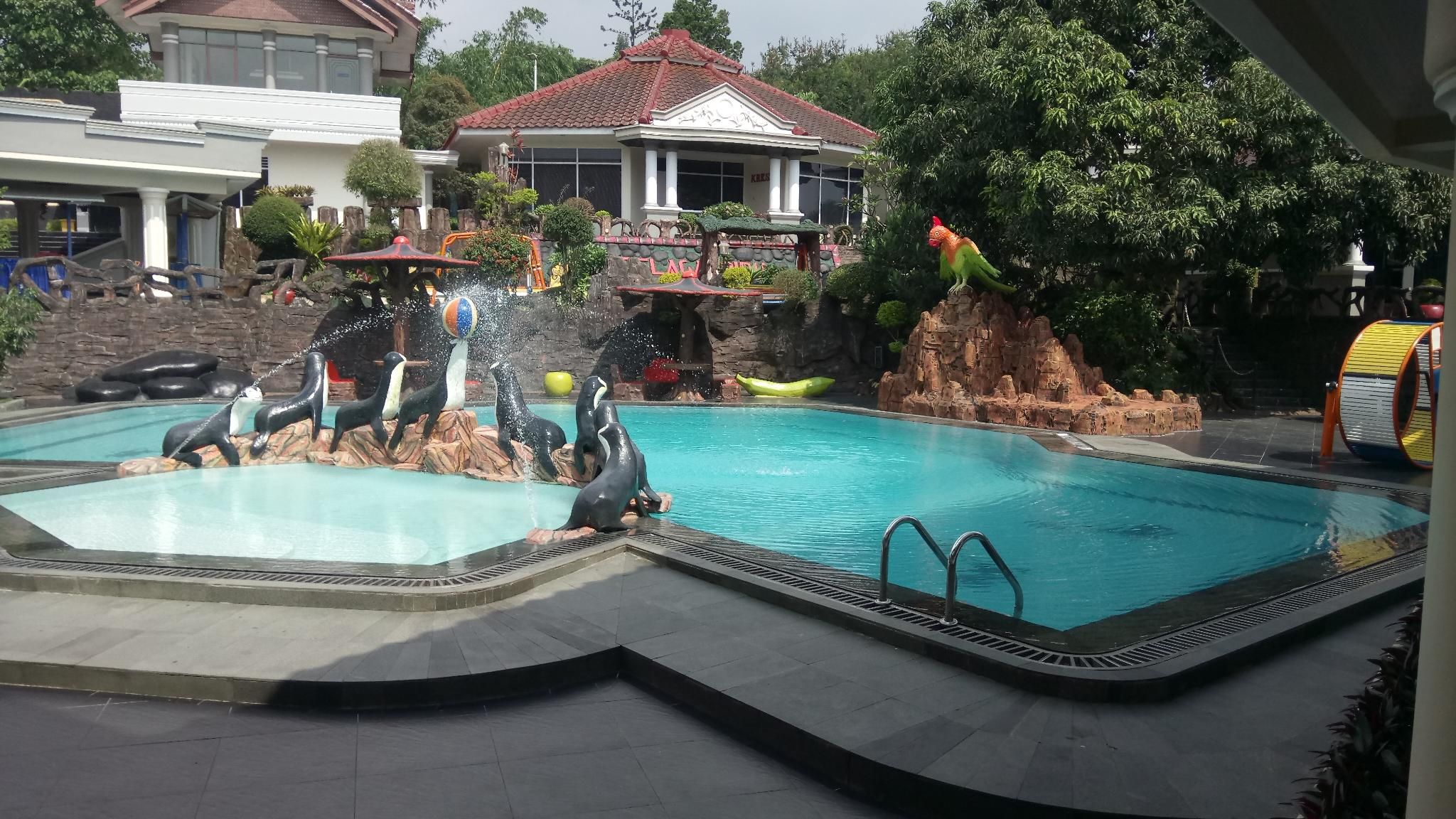 A swimming pool with a dolphin play area and a rock formation.