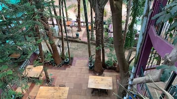 An outdoor patio area with multiple wooden tables and chairs, surrounded by tall palm trees and potted plants.
