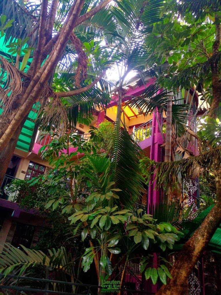 An indoor garden with dense foliage and a multi-level structure with balconies.