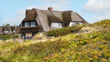 Ein traditionelles Reetdachhaus mit vielen Fenstern und einem Steinkamin.