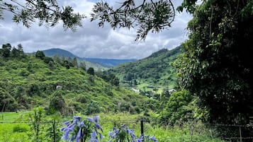 A lush green valley with a clear sky, surrounded by dense foliage and a fence.