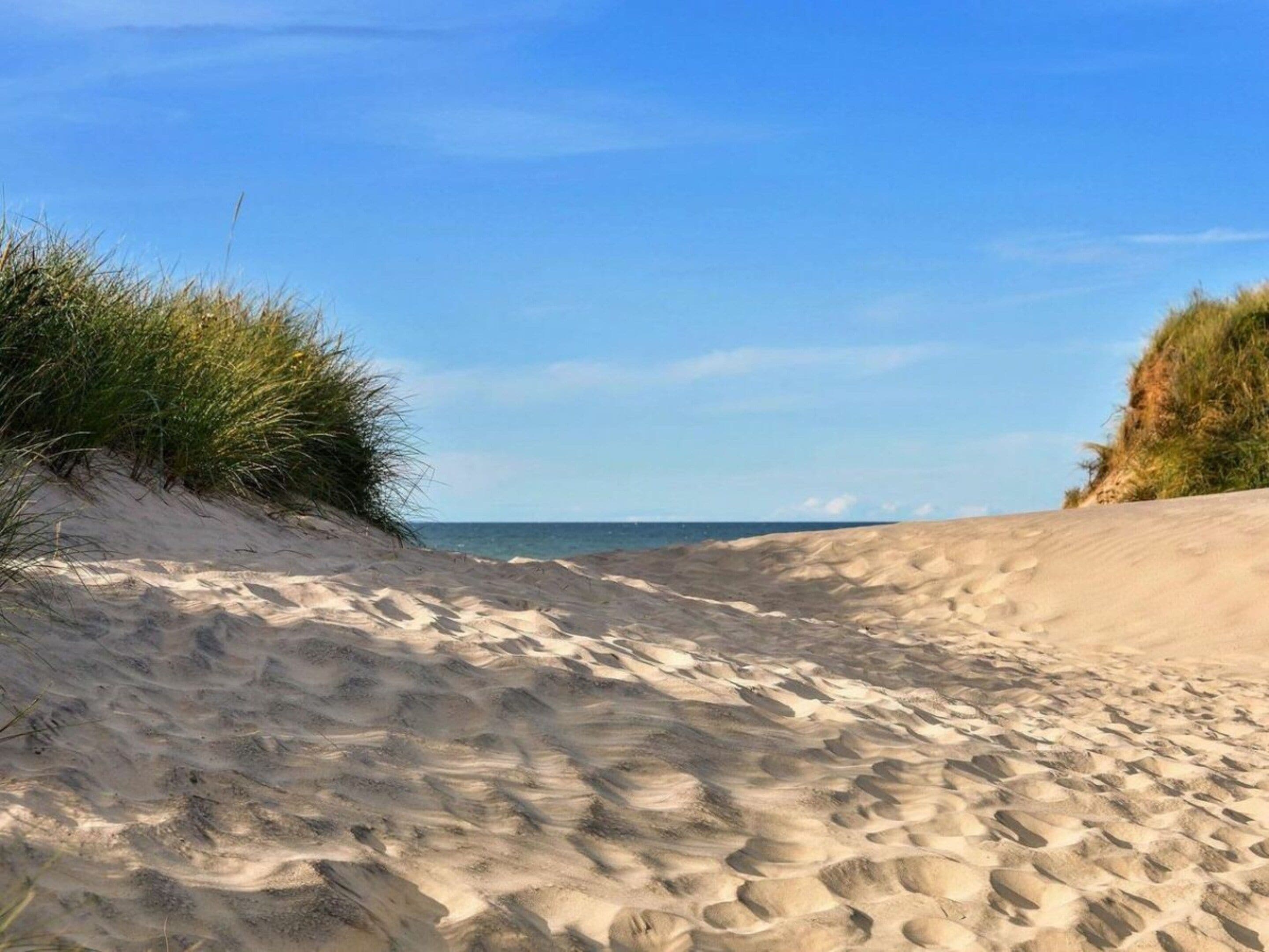 En sandstrand med sanddyner och gles vegetation.