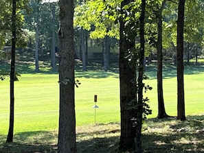 Un campo de golf con árboles y un mástil de bandera.