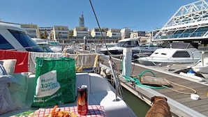 Un bote con una mesa dispuesta para una comida, una bolsa de material reciclado y un perro en la cubierta.