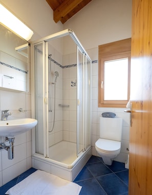 A bathroom with a glass-enclosed shower, a white sink, and a toilet. - Malix: Apartment with Fireplace & Mountain View (Malix)