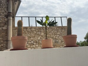 Three terracotta pots with plants on a balcony with a stone wall and metal railing in the background. - MAISON BÂO: A RETREAT OF SOFTNESS AND ELEGANCE (Saint-Cannat)