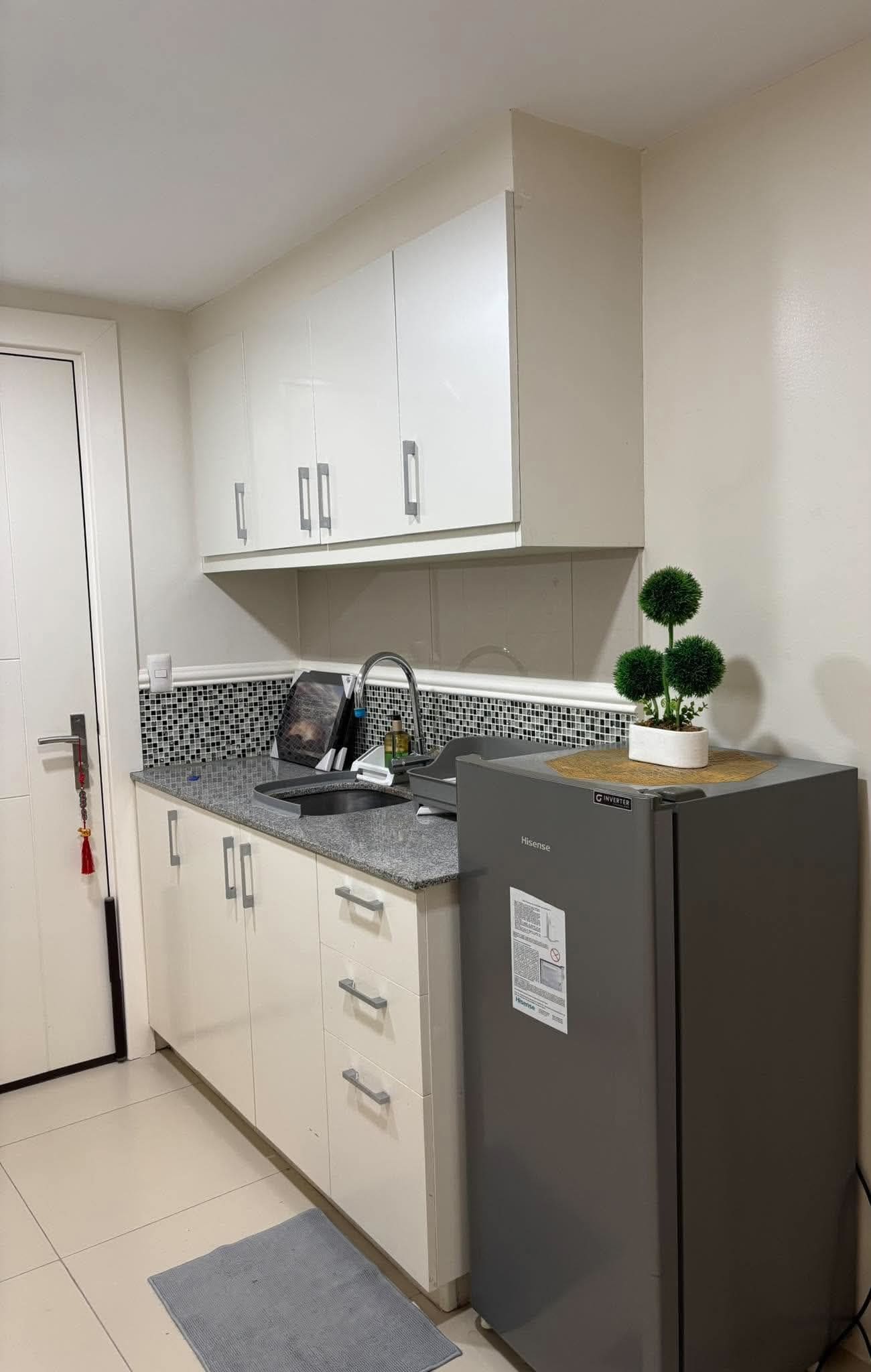 A compact kitchen with white cabinets, a granite countertop, a built-in oven, and a small potted plant.