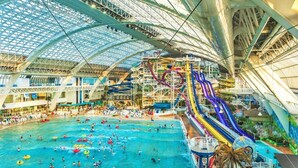 Un parc aquatique intérieur doté de nombreux toboggans et de plusieurs piscines.