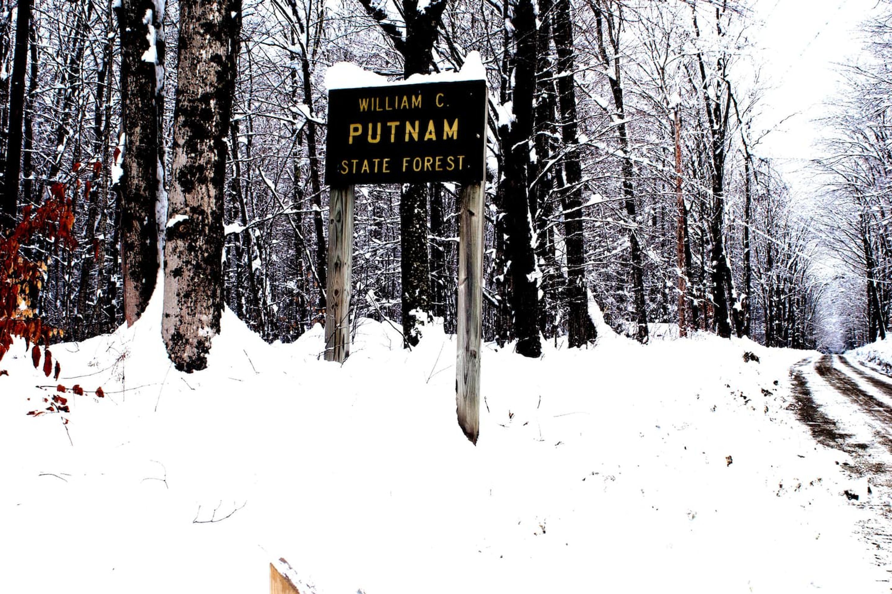 A signpost in a snowy forest with the text 'William C. Putnam State Forest.'