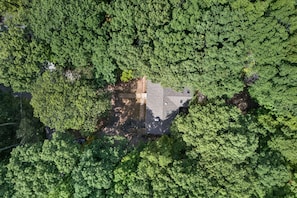 Ein Haus, von dichtem Wald umgeben.
