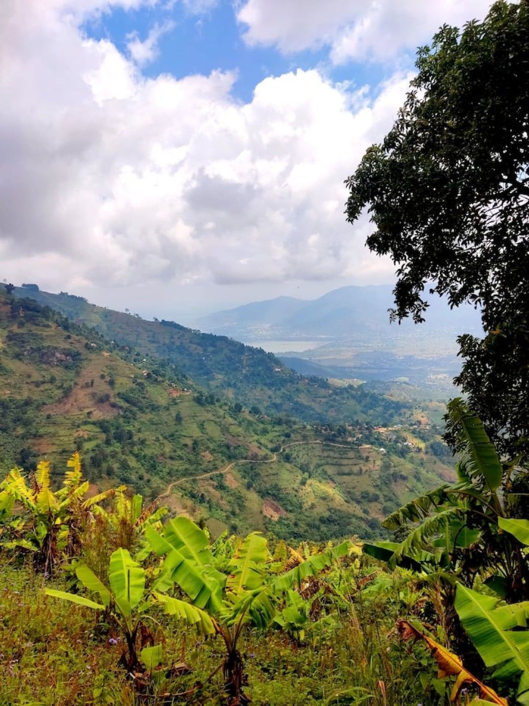 Paisagem montanhosa com vegetação exuberante e vista para colinas distantes.
