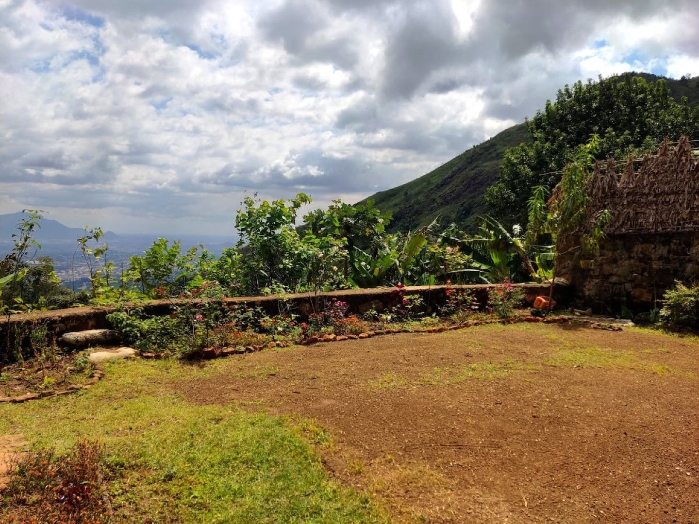 Paisaje rural con un muro de piedra, una construcción con techo de paja y diversa vegetación.
